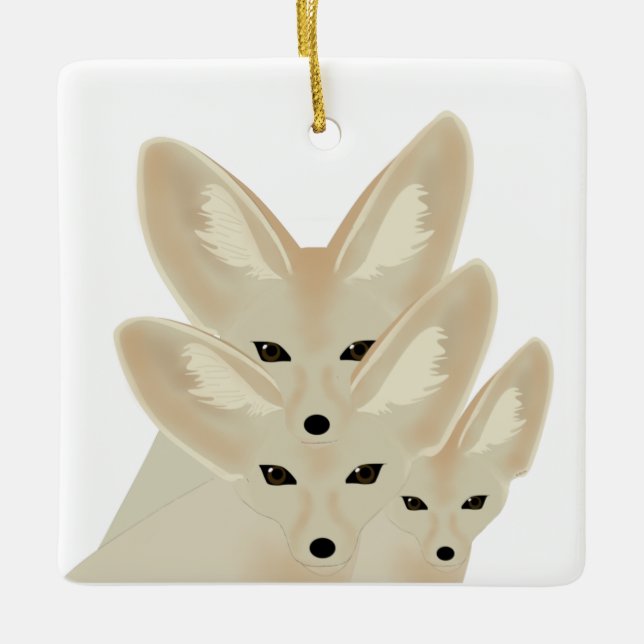 Ornamento de Fennec Foxes (Anverso)