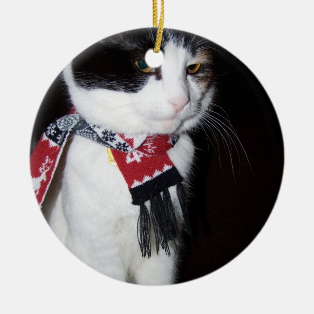 Ornamento de feriado de calico Cat con cojinete de (Frente)