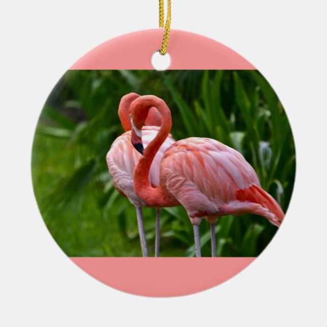 Ornamento de flamingo americano para aves animales (Frente)