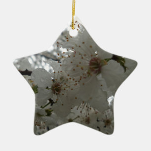 Ornamento de flor de ciruela