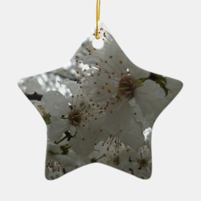 Ornamento de flor de ciruela (Frente)