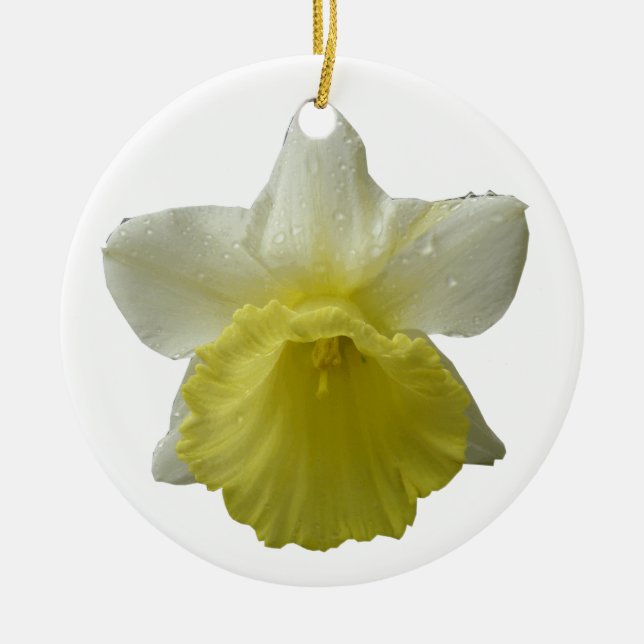 Ornamento de flor de Daffodil (Frente)