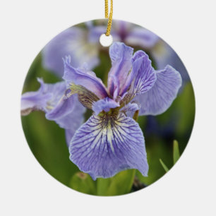 Ornamento De Flor Iris