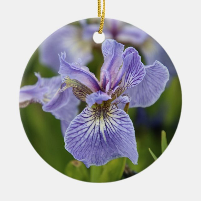 Ornamento De Flor Iris (Frente)