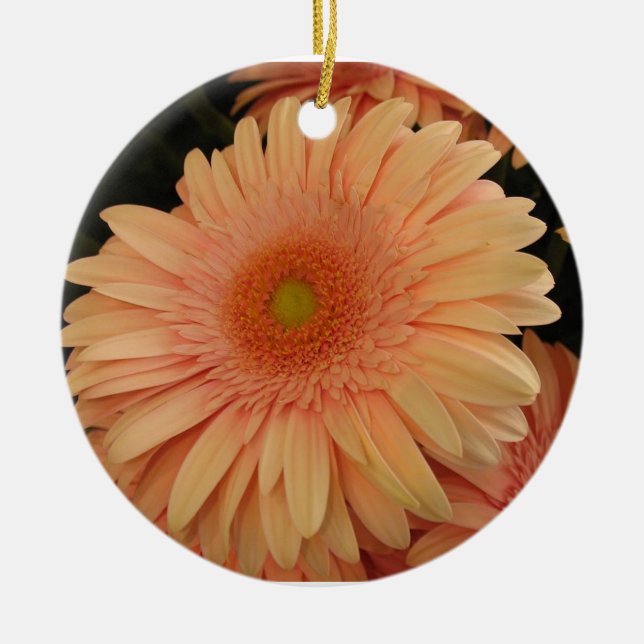 Ornamento de flor rosa (Frente)