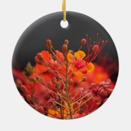 Ornamento de flores