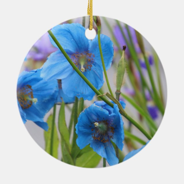 Ornamento de flores azules (Atrás)