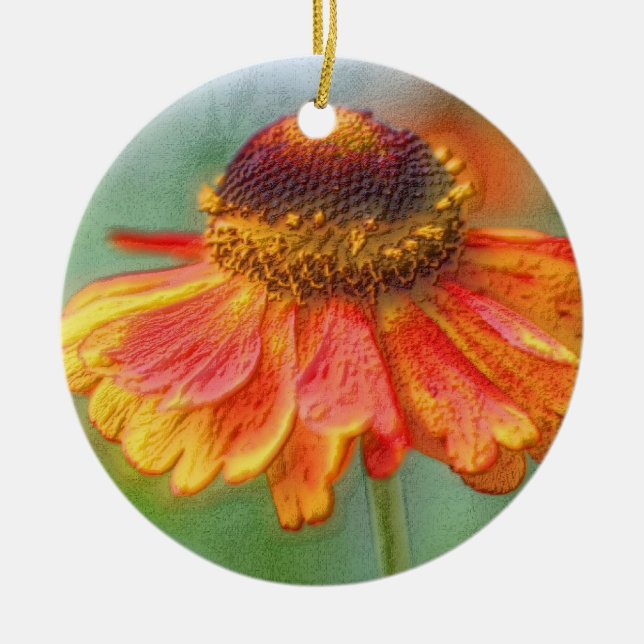 Ornamento de flores de arte de lápiz naranja Zinni (Frente)