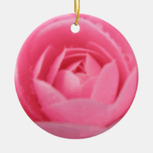 Ornamento de flores de camellia rosa bonito
