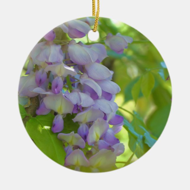 Ornamento de flores de glicinia morada (Frente)