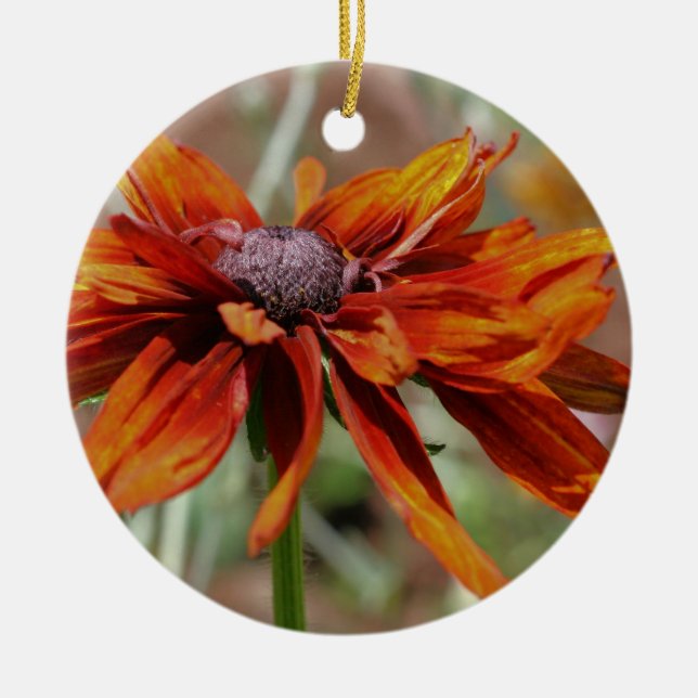 Ornamento de flores de la naranja Black Eyed Susan (Frente)