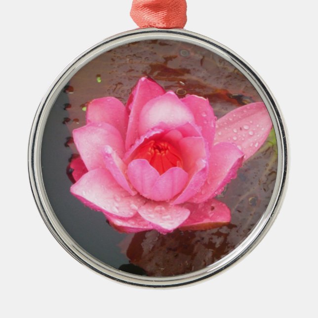 ornamento de flores de lirio de agua rosa (Frente)