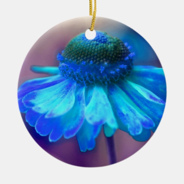 Ornamento de flores de zinnia azul suave (Frente)
