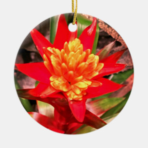 Ornamento de flores rojas