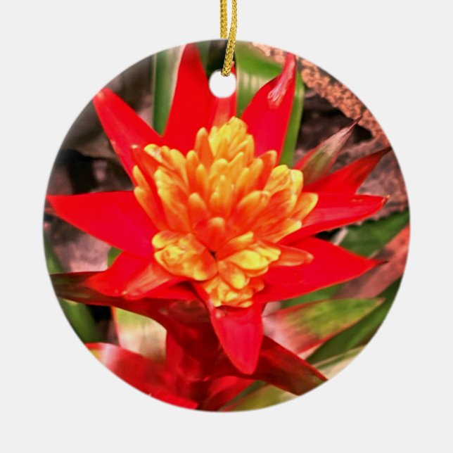 Ornamento de flores rojas (Frente)