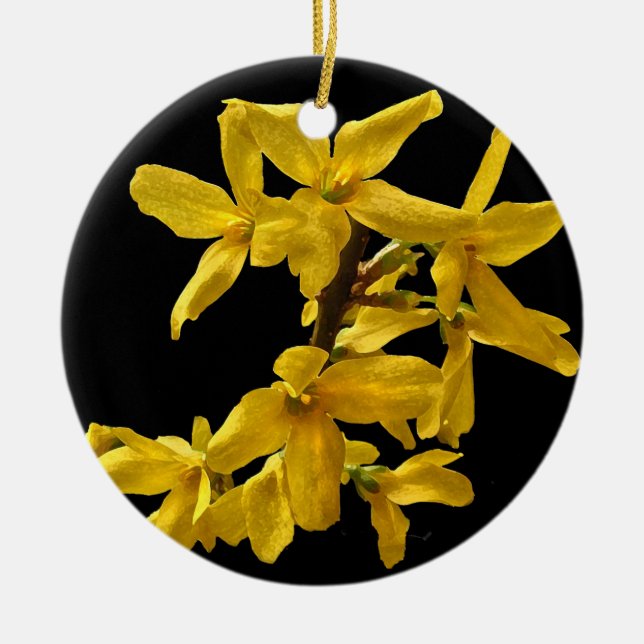 Ornamento de Forsythia (Frente)