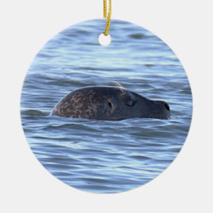 Ornamento de foto de foca 