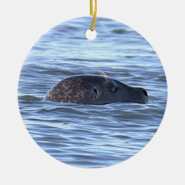 Ornamento de foto de foca  (Frente)