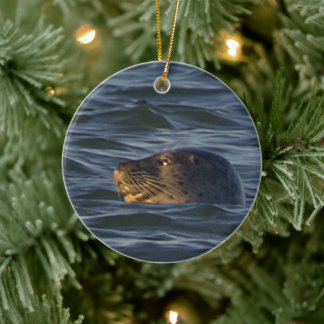 Ornamento de Foto de Foca
