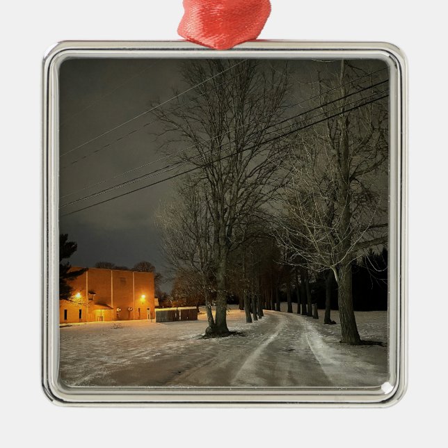 Ornamento de foto de invierno (Frente)
