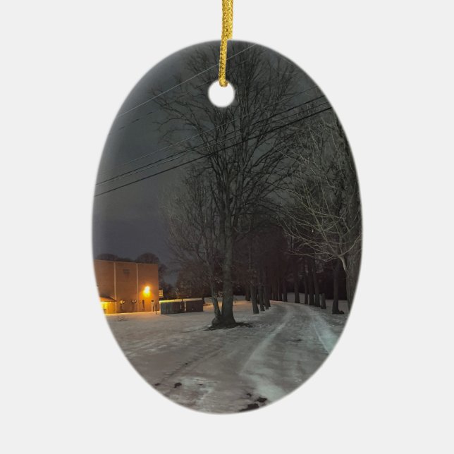 Ornamento de foto de invierno (Frente)