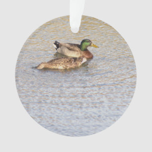 Ornamento de foto de Mallard Ducks
