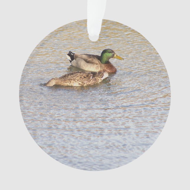 Ornamento de foto de Mallard Ducks (Anverso)