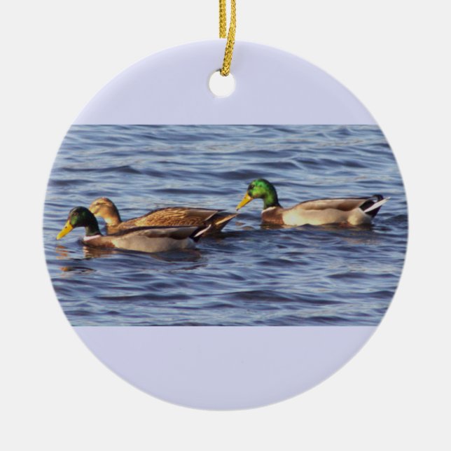 Ornamento de foto de Mallard Ducks (Frente)