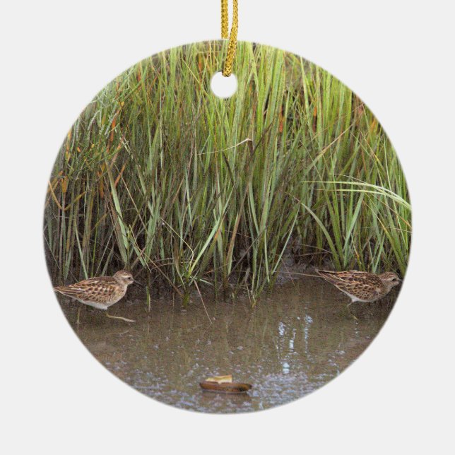 Ornamento de foto de pájaro de Sandpiper (Frente)