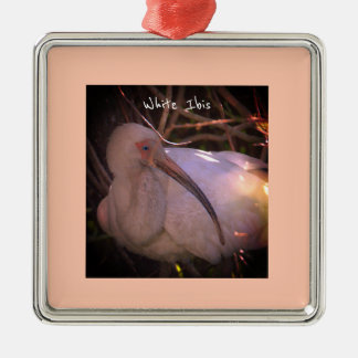 Ornamento de foto de pájaro Ibis blanco