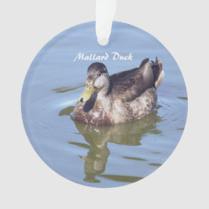 Ornamento de foto del pato Mallard