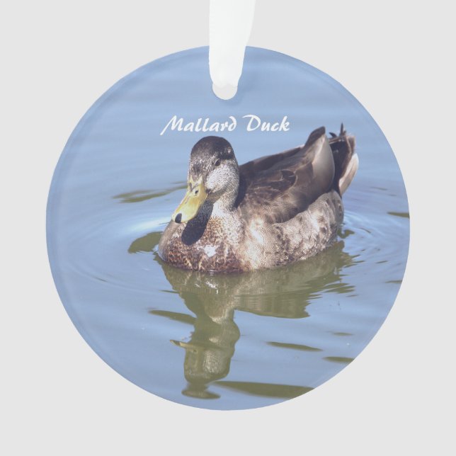 Ornamento de foto del pato Mallard (Anverso)