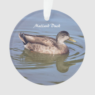 Ornamento de foto del pato Mallard