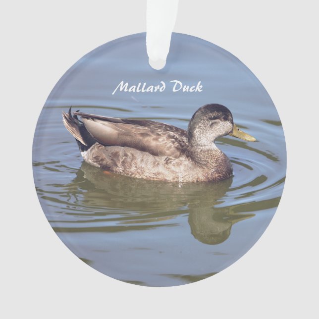 Ornamento de foto del pato Mallard (Anverso)