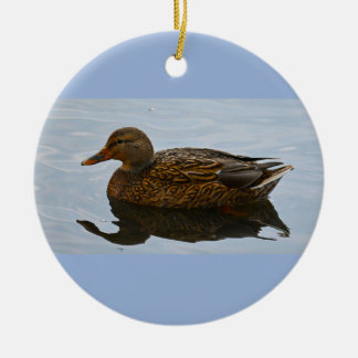 Ornamento de fotografía de pato