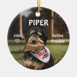 Ornamento de fotografía de perro de montaña de Ber