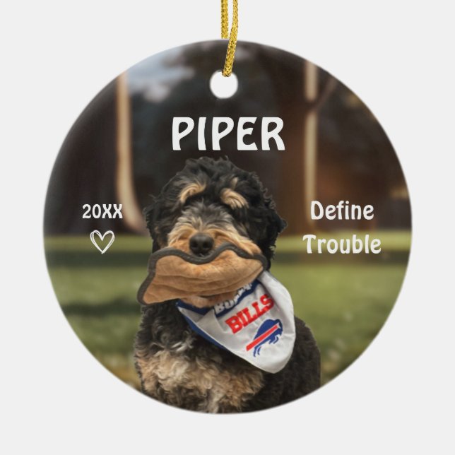 Ornamento de fotografía de perro de montaña de Ber (Frente)