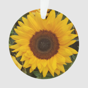 Ornamento de fotografía floral con flor de girasol