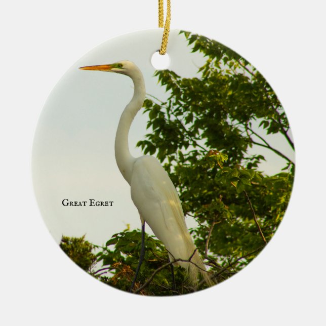 Ornamento de fotos de aves grandes de Egret (Frente)