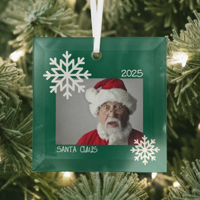 Ornamento de fotos de copo de nieve (in situ)