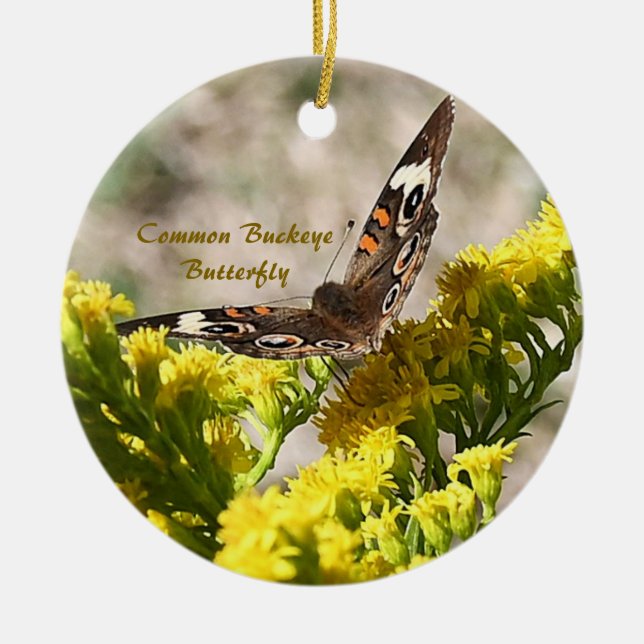 Ornamento de fotos de mariposa de burro común (Frente)