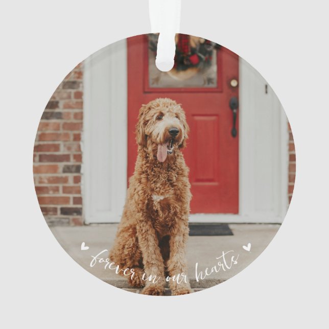 Ornamento de fotos de mascota Memorial Paw Print (Reverso)