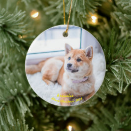 Ornamento de fotos de perros personalizado, Navida