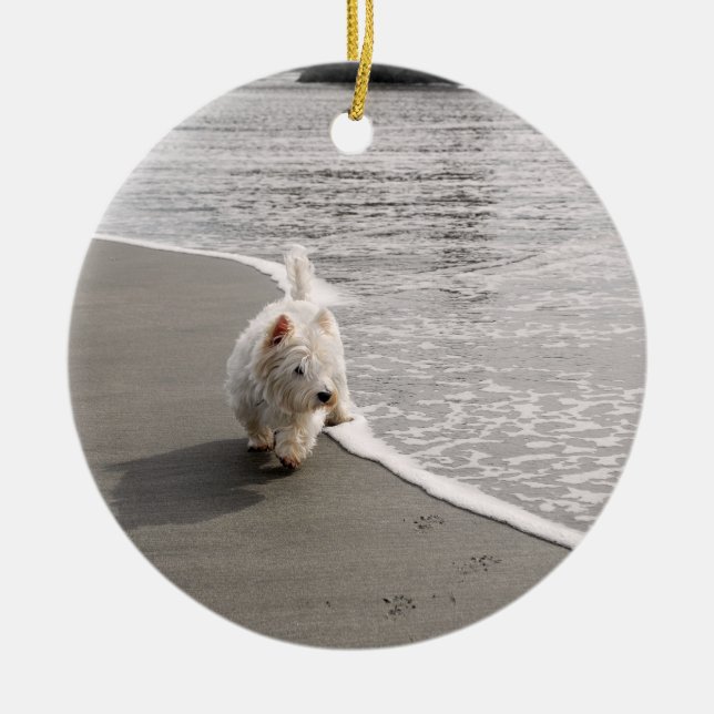 Ornamento de fotos de perros Westie en Beachcombin (Frente)