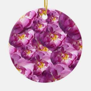 Ornamento de fotos de rosas rosas rosas rosas