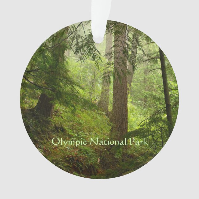 Ornamento de fotos de selva tropical olímpica (Anverso)