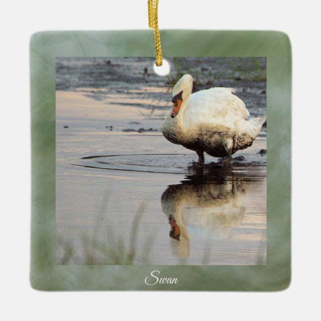 Ornamento de fotos de Swan (Anverso)