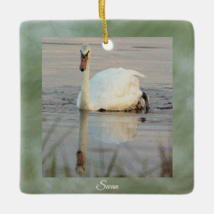 Ornamento de fotos de Swan