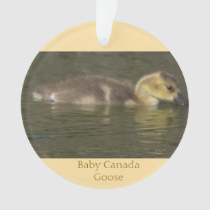 Ornamento de ganso de Baby Canada