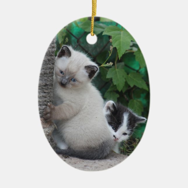 Ornamento de gatitos (Frente)